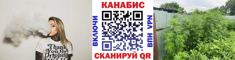 Купить наркотики Ковылкино Cocaine kraken зеркало СК Гашиш Меф мяу мяу Бошки Шишки