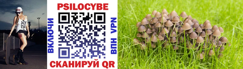 Галлюциногенные грибы Cubensis Ковылкино